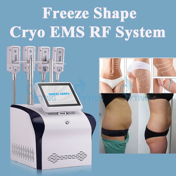 Machine de perte de poids Cryo, congélation des graisses, amincissante, réduction de la Cellulite, équipement de cryolipolyse à plaque sans vide