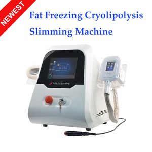 équipement de beauté de mise en forme du corps de cryolipolyse approuvé CE criolipolisis cool tech cryolipolysie 2 poignées cryo machine minceur