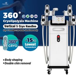 Cryolipolyse Cryotherapie Machine Cryo Dubbele Kinverwijdering Freeze Slimming Machine Huidverstrakking 5 In 1 Vetverlies Body Slimming Machine