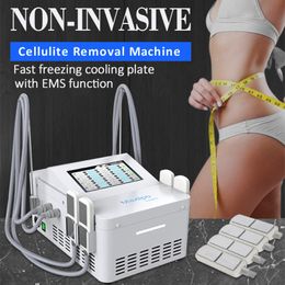 Machine de congélation des graisses par cryolipolyse, perte de poids, élimination de la cellulite EMS, équipement amincissant pour le corps