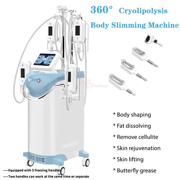 Machine de congélation de réduction de graisse de cryolipolyse avec 5 poignées de cryo Double menton enlève le corps amincissant l'équipement de cryothérapie