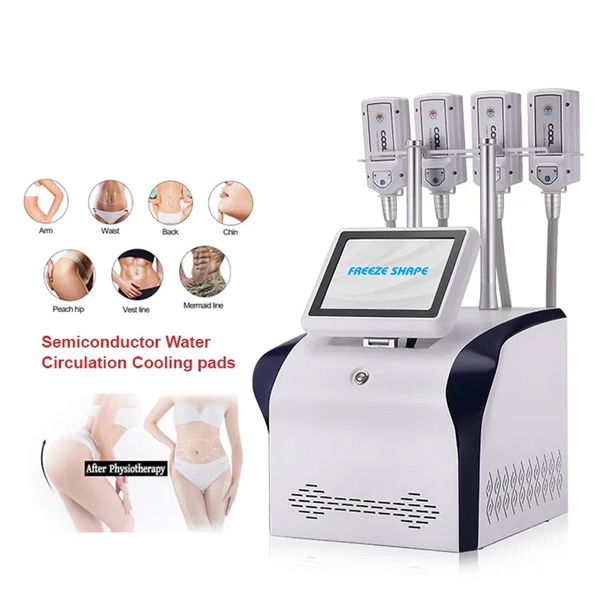 Machine de cryolipolyse Réducteur de double menton Congélation des graisses Criolipolisis Cryo Shape machine Équipement de salon de beauté Réduction de la cellulite Réduction de la cellulite