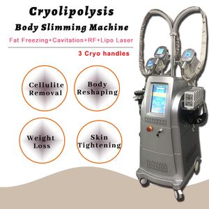 Cryolipolyse afslankende machine 3 cryo hoofden vet bevriezen vacuüm therapie terug cellulitis verwijderen buikwijdte gewichtsverlies niet-invasieve behandeling