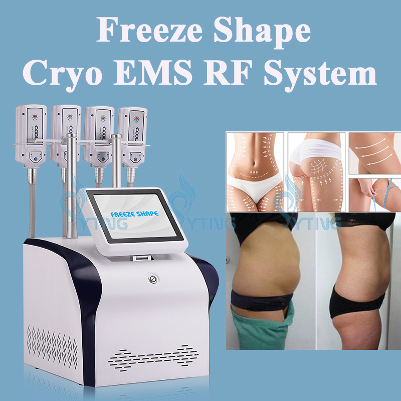 Cryolipolysis Slimming Machine Cryo Fat Freezing Plate EMS RF Cryo Lipolysis Pad Salon Device