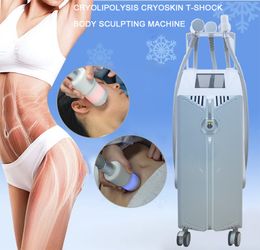 Cryoskin 5 Handles 2023 Macchina dimagrante Cryoskin per corpo Cool T Shock brucia grassi