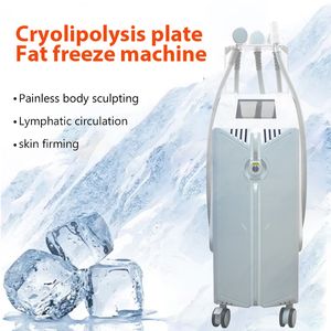 Cryoskin t-shock minceur Machine cryothérapie Machine élimination des graisses sans vide Cryoslim cryolipolyse Machine
