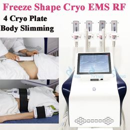 Cryotherapie Body Sculpting Freeze Shape Machine Cool Vet Bevriezing 4 Pads Cryo EMS RF Technologie Cellulitis Vermindering