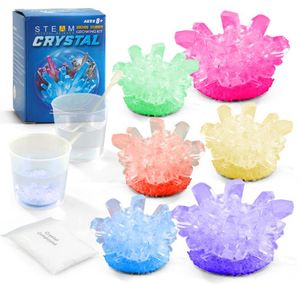 Crystal Growing Science Experimentele Kit Nieuwheid Toys Easy DIY STEM Toy Lab Experiment Specimens Educatief geschenk voor kinderen Tieners B8788270