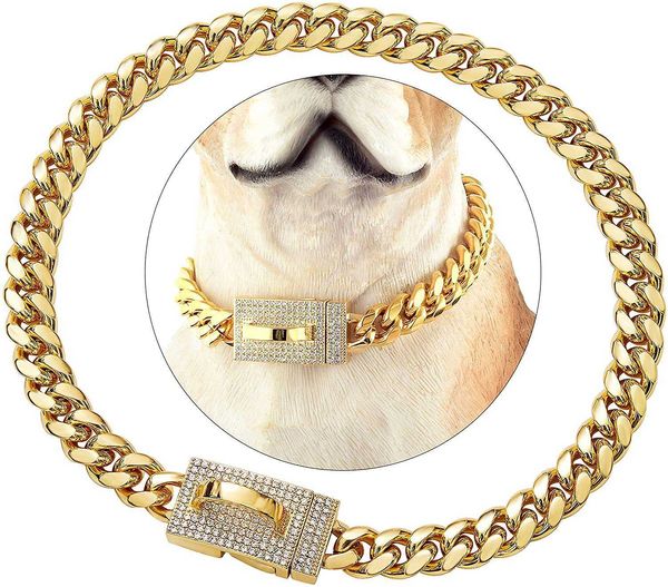 Cuba chien chaîne colliers de ceinture plein diamant boucle collier en acier inoxydable or collier pour animaux de compagnie 10mm 14mm cristal doré colliers