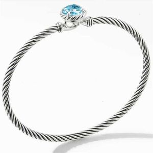 manchette plaqué or 18 carats bracelets de charme femmes de haute qualité bicolore 3mm hameçon ne se décolore pas fermoir mode tempérament câble en acier concepteur