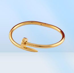 manchetbangle Juste A Clou Nail Bracelet Luxe sieraden Cuff Bangleset Auger Lovers Men and Women 16 19 cm Gold Rose Titanium Steel4397703