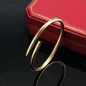 Cuff Gold Charm Vis Nail Bracelet Designer Bracelets En Acier De Luxe Bracelet Pulsera pour Hommes et Femmes Parti Couples Amoureux Cadeau Bijoux