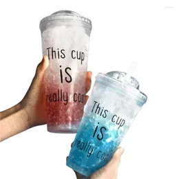 Cups Saucers Ins Summer Suice Anti-Fall Drinkware Plastic 450 ml Water Cup Handig Home Office Girl Gift Groothandel Drop Winkelen Gezond J17