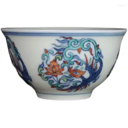 Tasses Saucers Qing Yongzheng Hand dessiné Bleu et blanc Doucai Group Phoenix Pattern Tea the Cup Master Antique Collection en céramique