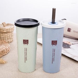 Tasses soucoupes tasse à eau Portable facile Double couverture Cola café plastique voyage blé paille avec couvercle boire famille cadeau