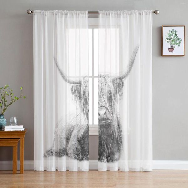 Rideau Animal vache écossaise fenêtre traitement Tulle moderne voilages pour cuisine salon la chambre décoration