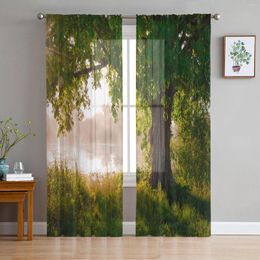 Gordijn Arbor Tree Lake Landschap voor woonkamer transparante tule gordijnen venster pure de slaapkameraccessoires decor