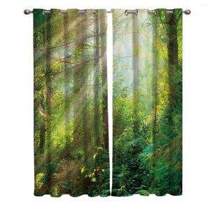 Rideau magnifique vert forêt, pour fenêtres, impression moderne, salon, chambre à coucher