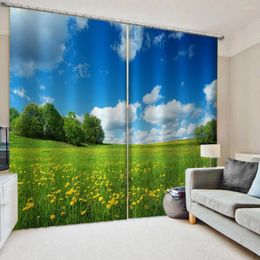Rideau personnalisé 3D vert herbe ciel fenêtres rideaux fins pour salon chambre décoratif cuisine rideaux traitements livraison directe