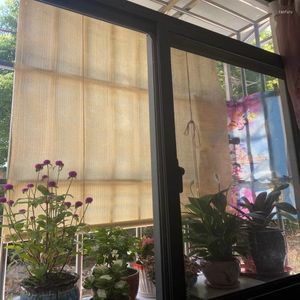 Gordijn aanpasbaar 90% schaduwdikkeling hdpe gazebo verticale schuilplaats zonschaduw net blind balkon ramen privacy scherm