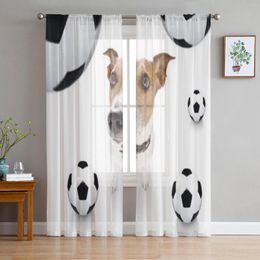 Gordijn Hond In Zonnebril Met Bal Erker Screening Gordijnen Drape Panel Sheer Tulle Voor Woonkamer Slaapkamer Voile Organza