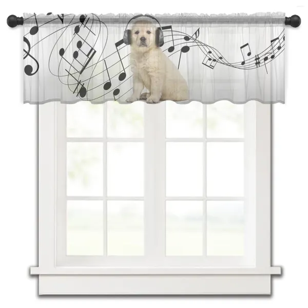 Rideau Golden Retriever casque musique drôle court transparent fenêtre Tulle rideaux pour cuisine chambre décor petits Voile rideaux