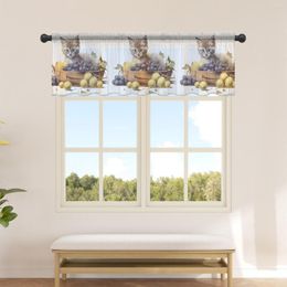 Curtain Kitten Fruit Grapes Short Tulle Kitchen Cabinet Curtains Living Room Bedroom For Home Decor