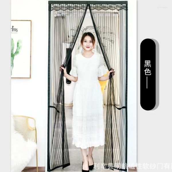 Rideau magnétique Mosquito Net Summer Anti Bug Door Rideaux de fermeture automatique Mesh Mesh salon Cuisine