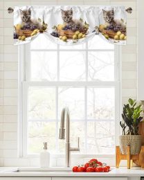 Cortinas gatito fruta uvas ventana cortina sala de estar cocina gabinete Tieup cenefa cortina varilla bolsillo cenefa