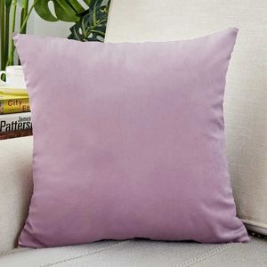Coussin / décoratif clair de coussin en velours violet léger