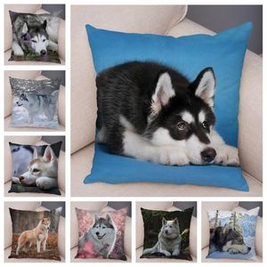 Kussen/Decoratief kussen Pet Siberian Husky Dog Case Covers Decor Dierkussen Cover voor Sofa Home Super Soft Short Plush Pillowcase 45 4