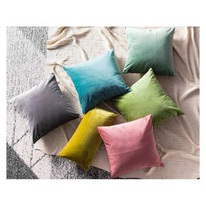 Coussin / coussin décoratif en velours coussins