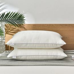 Cojín almohada decorativa 1 unid almohadas de seda de morera para dormir 4874 cm relleno natural jacquard suave cuidado de la salud ropa de cama el cuello 231216