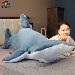 Coussins balein balein hammerhead requin en peluche jouets animaux en peluche coussin coussin coussin bébé enfants enfants
