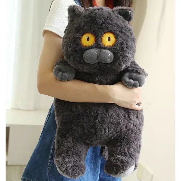Cushions New llegue 40 cm Kawaii Kawaii Soft Plush Cat Toys Animal Molls Kids Regalo encantador Cats Fats Almohada Decoración del hogar