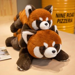 Coussins Ratcoon sauvage forestier animal poupée en peluche jouet en peluche en peluche en peluche assise comme un vrai cadeau