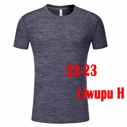 Maillots Liwupu personnalisés 22-23 ou commandes de vêtements décontractés, notez la couleur et le style, contactez le service client pour personnaliser le nom du maillot, le numéro, les manches courtes.