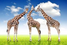 Personnalisé toute taille photo girafe 3D fond mural 3d papier peint 3d papiers peints pour toile de fond tv