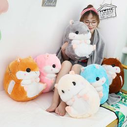 Aangepaste cartoon anime multi -kleuren schattig pluche speelgoeddeken set dikke hamster kussen gevouwen dutje kussen warm huisdier gevuld cadeau