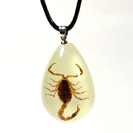 Collier de collier d'insectes réels de lueur personnalisée