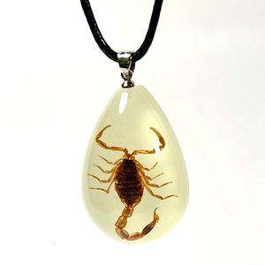 Aangepaste gloed echte insecten hars hanger ketting insect specimen ketting sieraden voor mannen