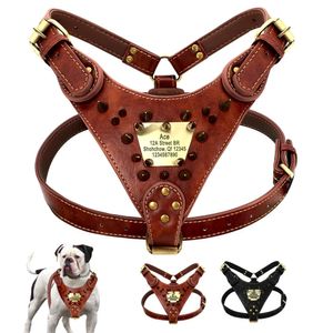 Harness de chien en cuir personnalisé enrichi le gilet clouted ID personnalisé pour les grands chiens moyens Pitbull Bulldog 240418