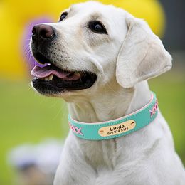 Lederen personalizado Halsband Gepersonaliseerde Pet Id Kraag Gewatteerde Graveren Crystal Kragen Verstelbare Voor Kleine Middelgrote Grote Honden