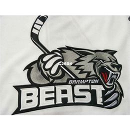 CUSTOM Men Brampton Beast ATHLETIC KNIT ECHL Hockey Jersey broderie BLANC Hockey Jersey ou personnalisé n'importe quel nom ou numéro rétro Jersey