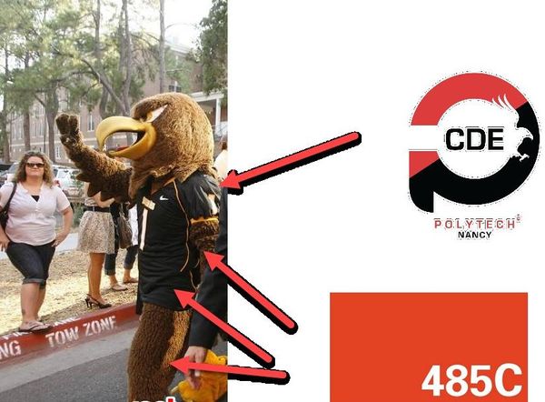 Disfraz de mascota de monstruo de águila naranja personalizado agregar un logotipo tamaño adulto envío gratis