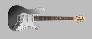 Custom Paul Smith John Mayer Sliver Tungsten Guitar Guitar St Style Shape Col, Assiette de cou noir, incrustation d'oiseau perlé blanc, pont de trémolo
