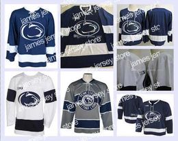 AANGEPASTE Penn State Nittany Hockey Jersey 13 Nikita Pavlychev 14 Nate Sucese 17 Evan Barratt 18 Brett Murray 19 Derian Hamilton Genaaid