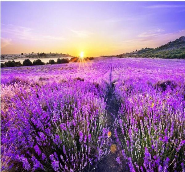 Fond d'écran PO personnalisé 3D stéréo Beautiful Romantic Purple Lavender Field Golden Sun Fandle Wall salon Fond Pain 3D Pain6415834