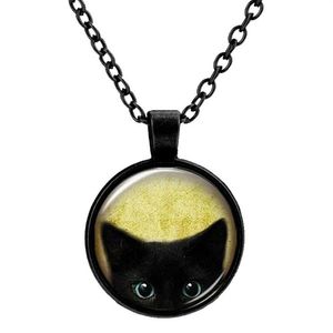 Personnalisé Vintage verre chats charmes collier argent Antique Bronze mat noir magique temps gemme pendentif pull collier cadeau Jewelr207O
