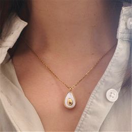 Mignon 316L Titane Acier Avocat Shell Designer Collier Femme Plaqué Or 18 carats Lien Chaîne Ras Du Cou Femmes Pendentif Colliers pour Adolescentes Filles Mode Bijoux Cadeau